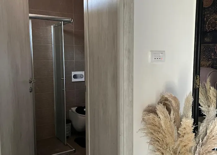 Apartman Delux * Бачка-Топола